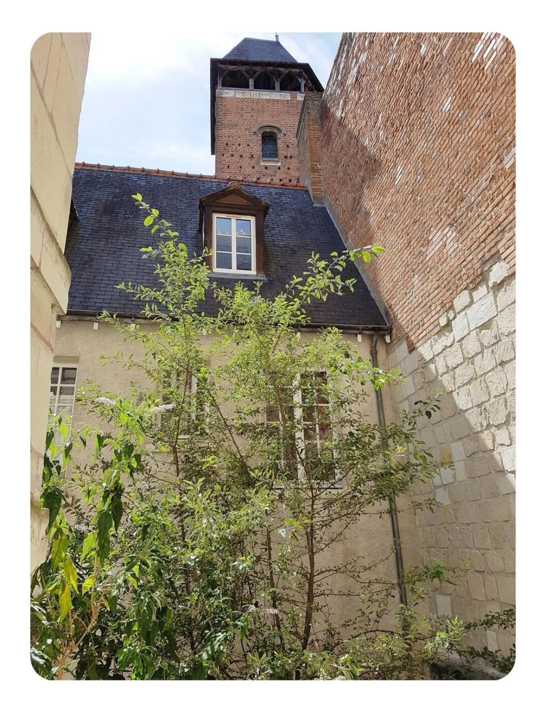 Havre De Paix Avec Exterieur Au Coeur Du Vieux Tours公寓 外观 照片